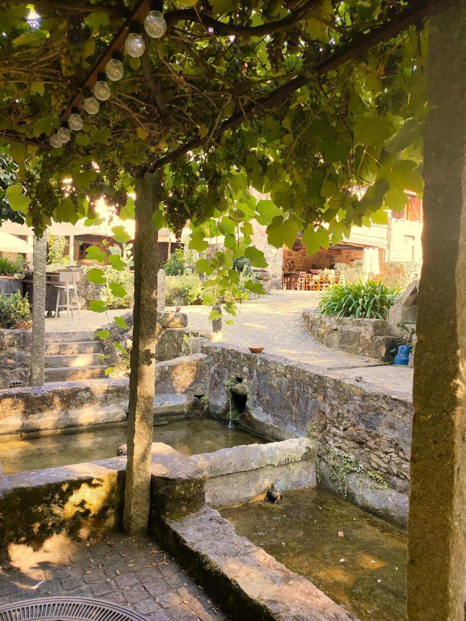 Quinta Padre Lobo Pensionat Santa Maria da Feira Exteriör bild